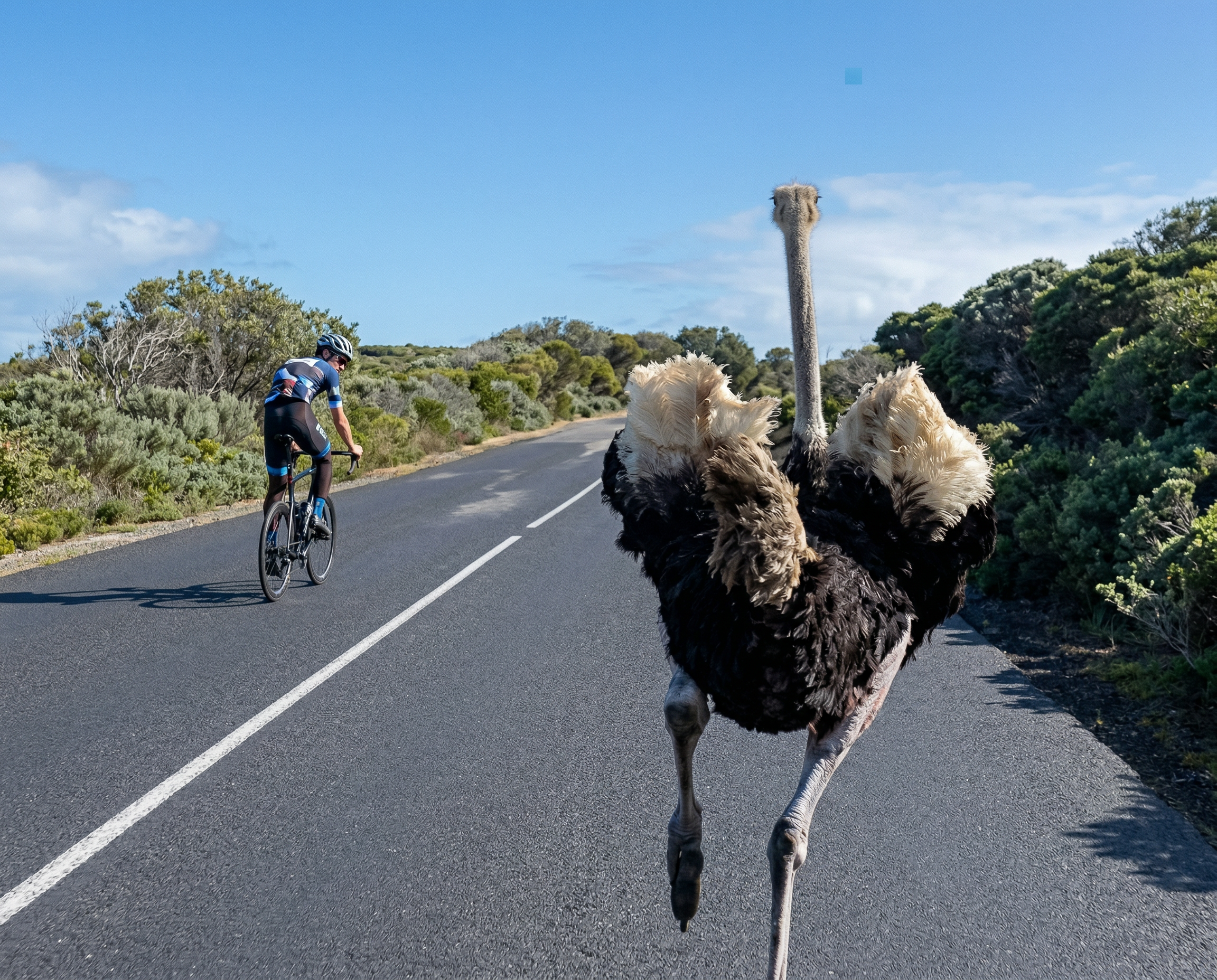 Episode 4: The Ostrich and the Shift to Plan B — Lara Kaplan